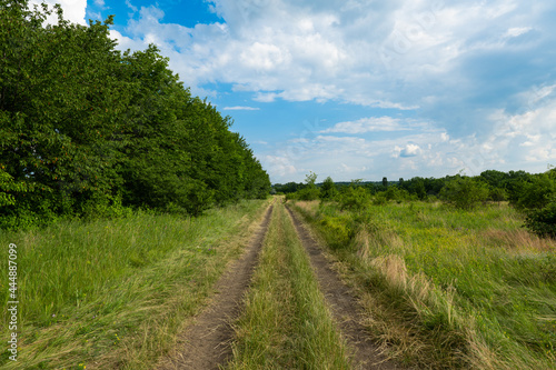 road to the field in summer