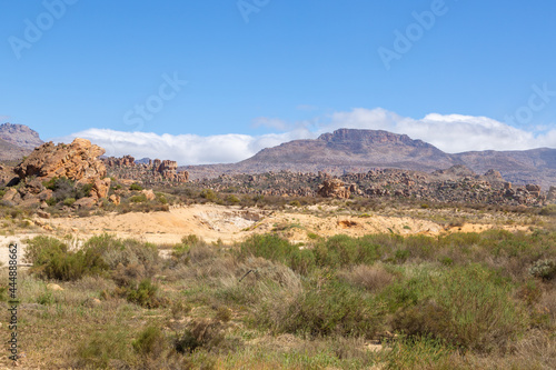 Vegetation in sandy habitat in the Cederberg Mountains, south of Clanwilliam in the Western Cape of South Africa