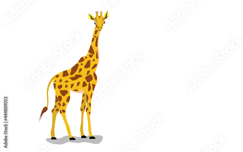 Cartoon giraffe isolated on white background. Giraffe in a cartoon style, is insulated on white background.