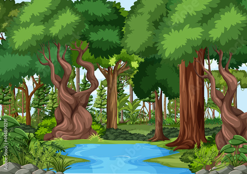 Forest scene with pond and many trees