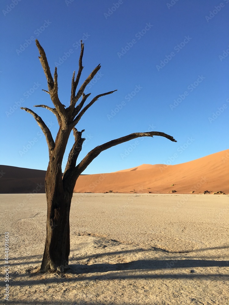 Sossusvlei