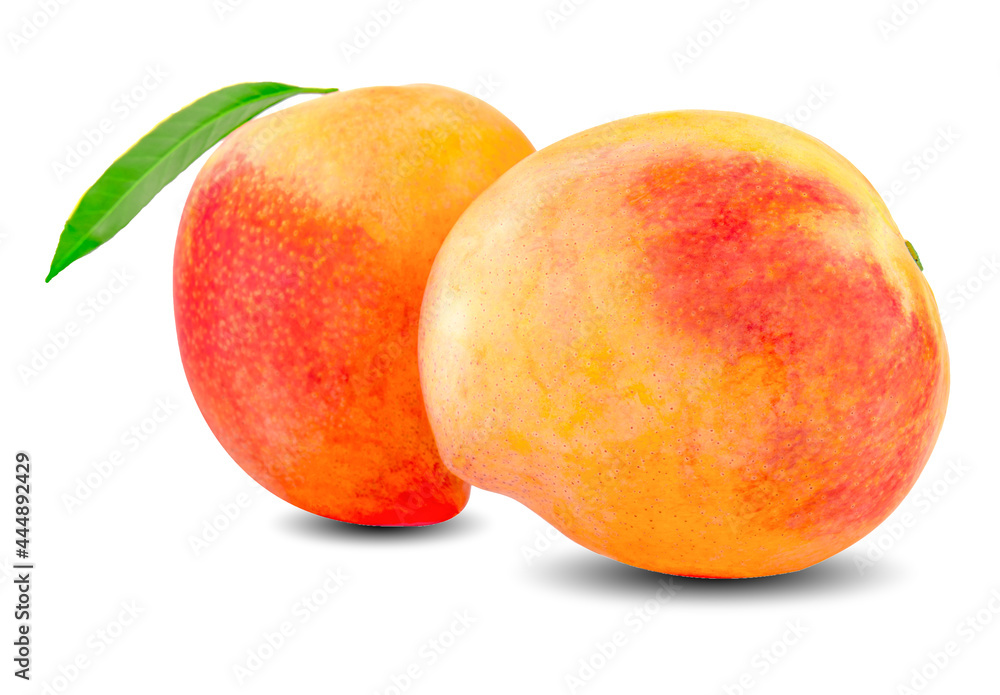 Ripe mango isolated on white. Mango Clipping Path. Professional studio macro shooting