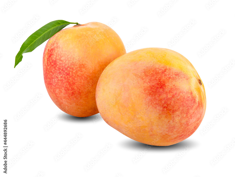 Ripe mango isolated on white. Mango Clipping Path. Professional studio macro shooting Ripe mango isolated on white. Mango Clipping Path. Professional studio macro shooting