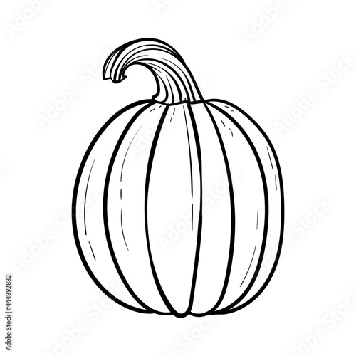 hand drawn pumpkin and ink. Scary greeting card and invitation party poster. Modern illustration concept. single element, icon, sticker, poster card. vegetable harvest autumn Halloween thanksgiving
