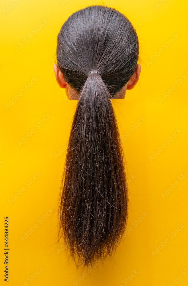 Back view ponytail damaged hair isolated on yellow background. Dry and brittle hair problem