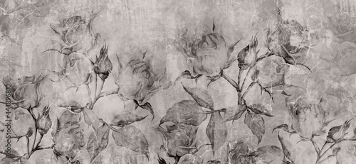 Fototapeta szkicowane róże na betonowym tle