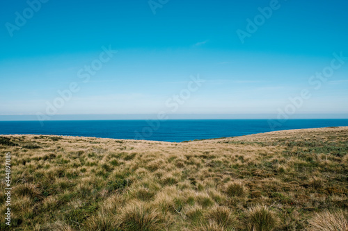 green field and sea