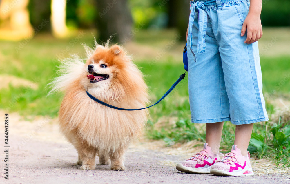 unrecognisable little girl kid is walking with her cute small friend