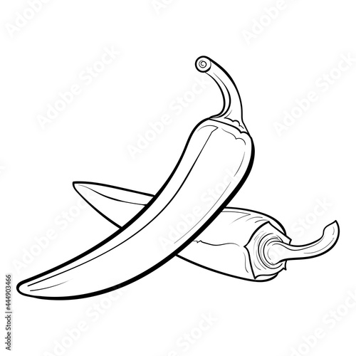 line art chili pepper. Sketch of vegetables isolated on white background. Simple line art. Vector Illustration Flat grocery pictogram for coloring.