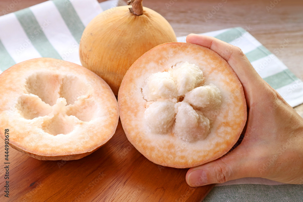 Hand Holding an Opened Fresh Ripe Santol Fruit or Wild Mangosteen Hand Holding an Opened Fresh Ripe Santol Fruit or Wild Mangosteen