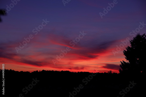 Dramatic red sunset against a blue sky with clouds over the forest. Beautiful cloudscape background. Dusk and dawn concept 