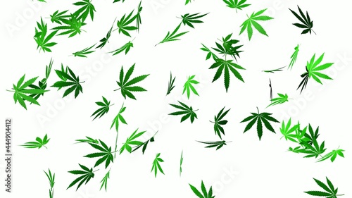 Cannabis leaves fall on a white background. 3D render