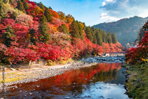 紅葉が色づく秋の山　香嵐渓