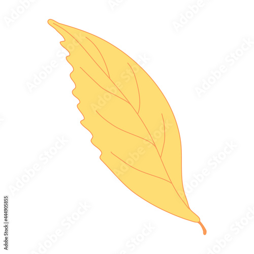 Yellow autumn leaf. Hand drawn vector illustration with color outline isolated on white background.