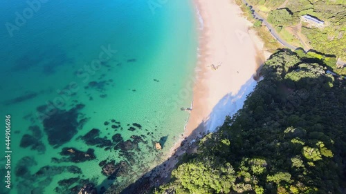 Aerial fly over rocky forested cliff, calm ocean and white sandy beach. Otama Beach, New Zealand photo