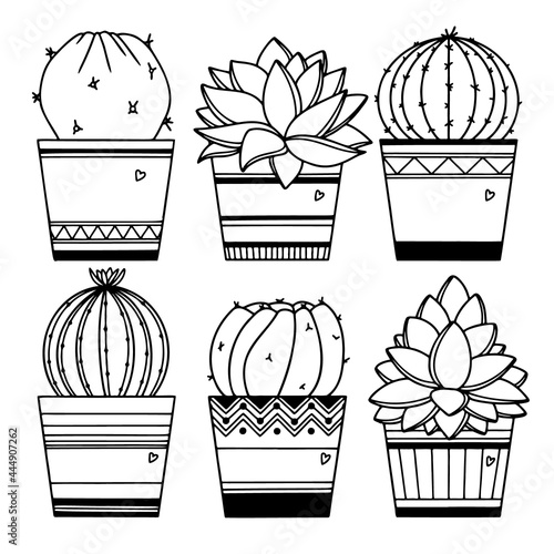 Set of cacti in pots isolated on white background. Succulents sketch