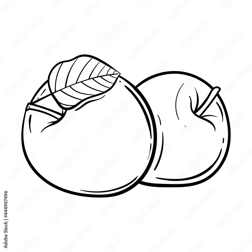 Vector Line Art Apple Fruit. hand drawn Apple fruit vector. Isolated fruit silhouette in cartoon style. Fruit pictogram for coloring page Vector Line Art Apple Fruit. hand drawn Apple fruit vector. Isolated fruit silhouette in cartoon style. Fruit pictogram for coloring page