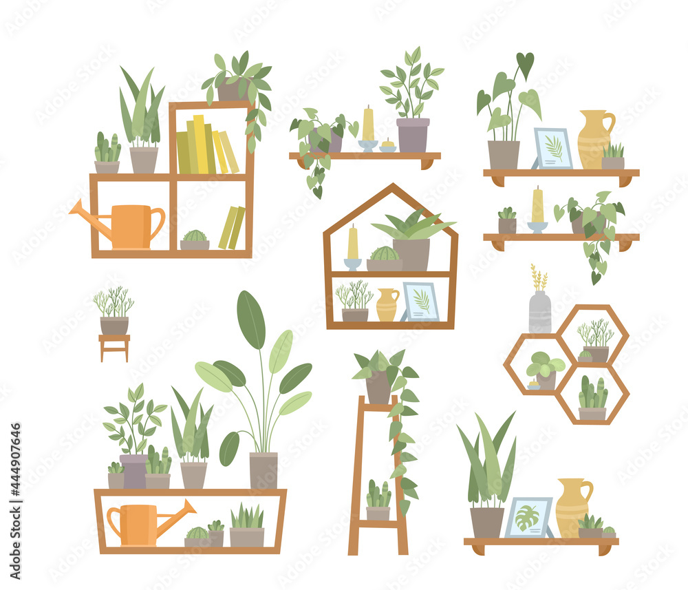 Obraz premium Vector set of trendy flat shelf with plants in pots