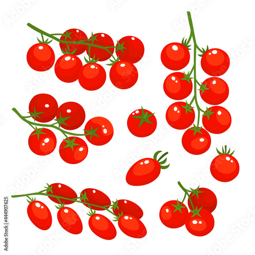 Vector colorful set of tomatoes cherry isolated on white.