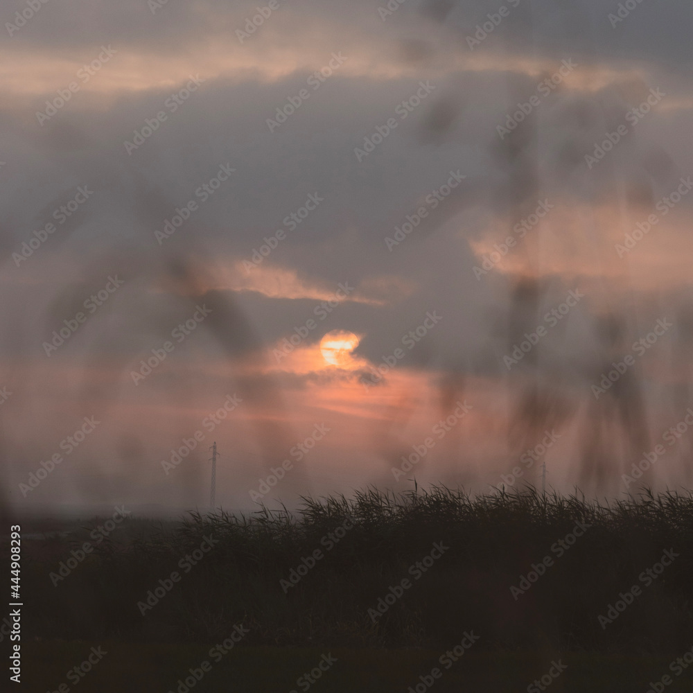 Obraz premium sunset in the field