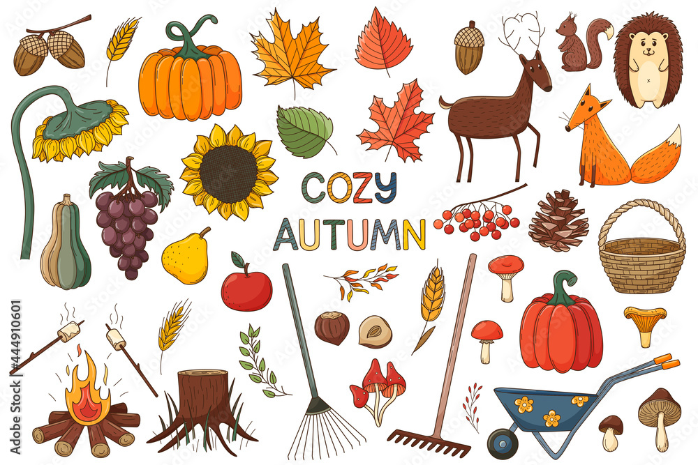 A set of elements on the theme of autumn. Forest animals, harvest. A large design collection of colored doodle elements with a stroke and fill. Flat. Vector illustration. Isolated on white