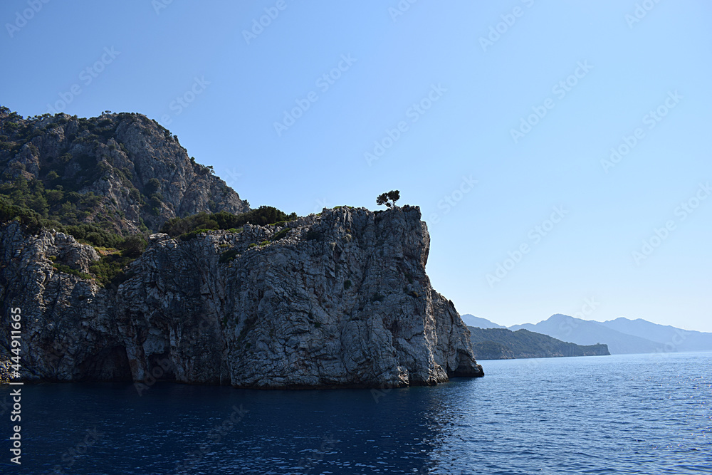 Rocky promontory with a lonely pine tree.