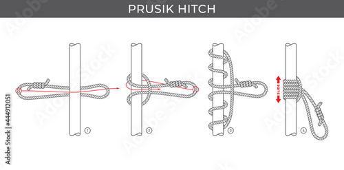 Vector simple instructions for tying a Prusik hitch. Four steps. Isolated on white background.