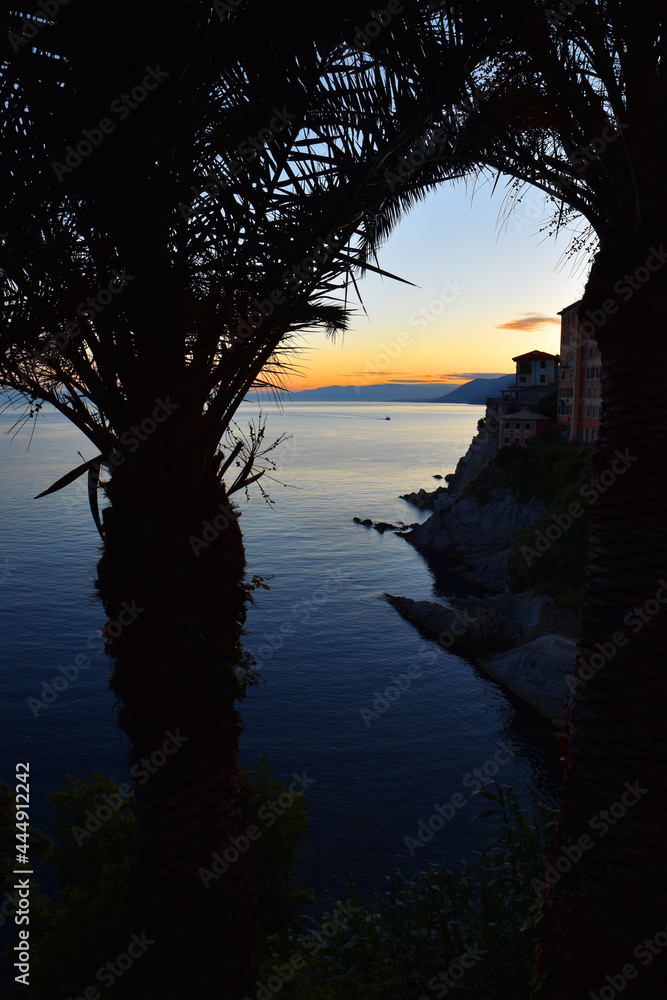 wonderful sunset on the Ligurian coast in Camogli






























































































