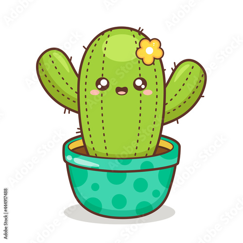 cute cactus in colorful pot