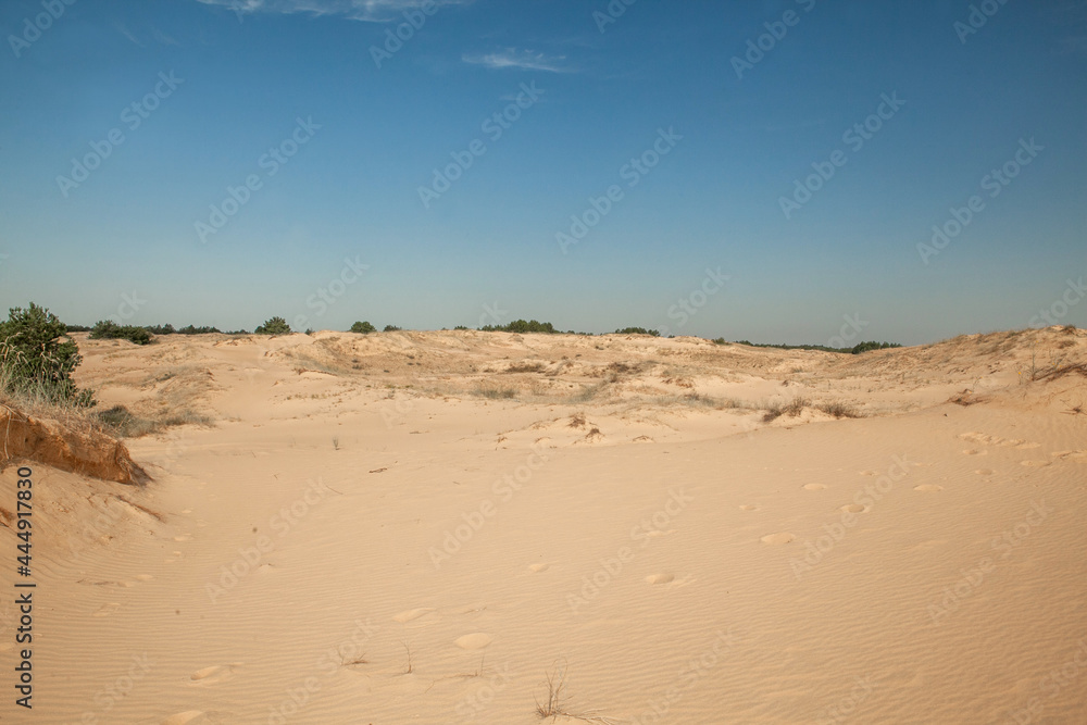 footprints in the sand in the desert in the summer