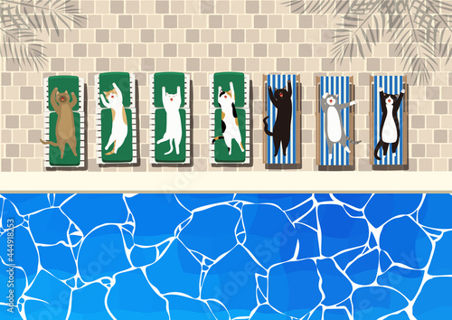 Wallpaper Mural 思い思いの姿の猫がくつろぐ夏のリゾートのプールサイド Torontodigital.ca