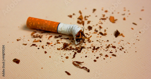 A part of a cigarette isolated on a white background. Tobacco sheet is racially pand. The concept of World No Tobacco, Tobacco and Lung Health. Harm to health. It is a bad habit.