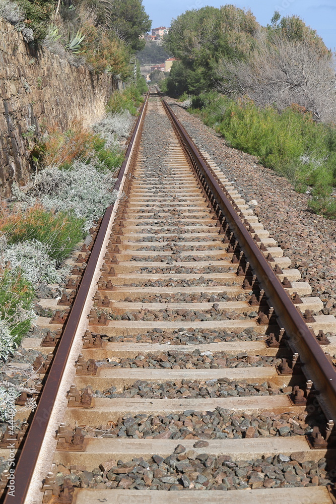 Rotaie in disuso in mezzo al verde