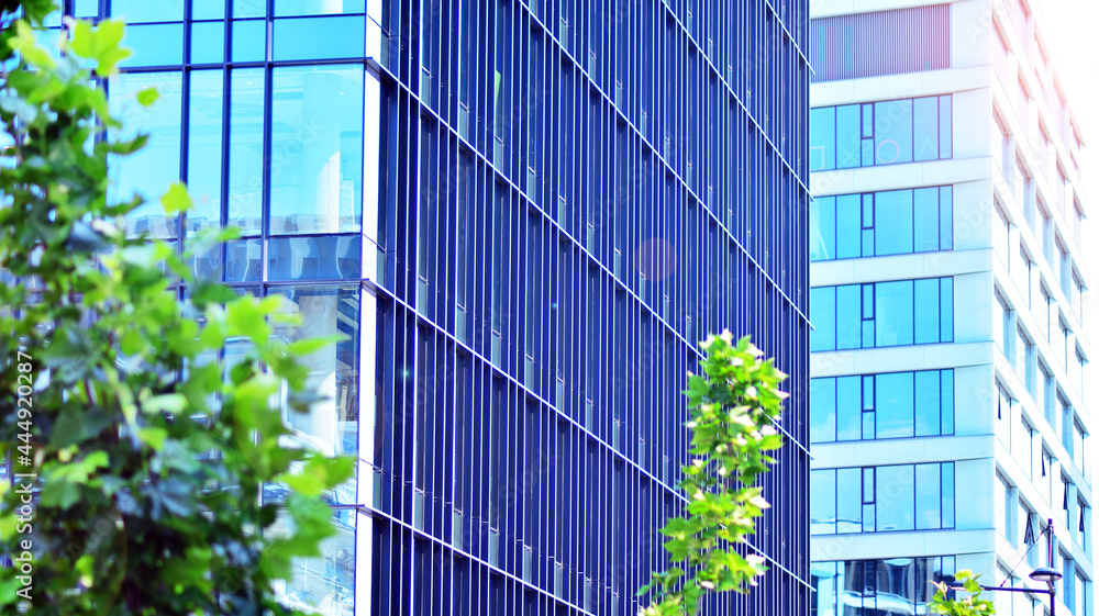 Eco architecture. Green tree and glass office building. The harmony of nature and modernity. Reflection of modern commercial building on glass with sunlight. Eco architecture. Green tree and glass office building. The harmony of nature and modernity. Reflection of modern commercial building on glass with sunlight.
