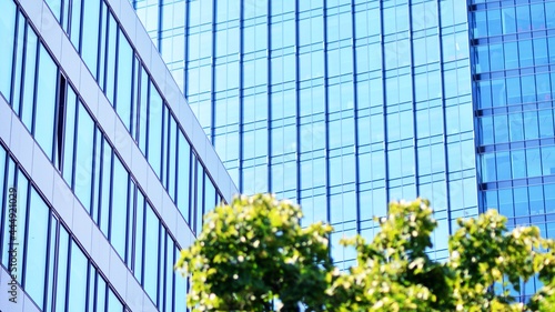 Eco architecture. Green tree and glass office building. The harmony of nature and modernity. Reflection of modern commercial building on glass with sunlight. 