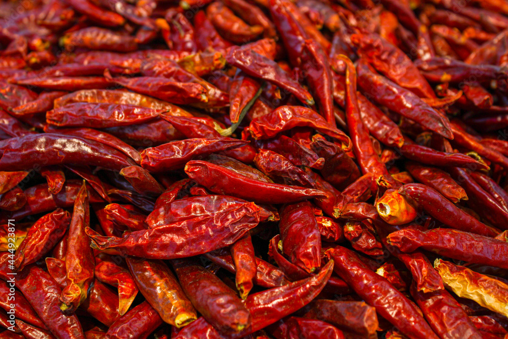 Close up of Red Chili Pepper covered in full screen Close up of Red Chili Pepper covered in full screen