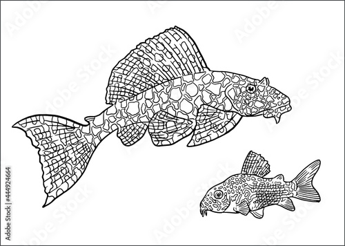 Aquarium with ancistrus and catfish for coloring. Colorful fish vector template. Coloring book for children and adults.	
