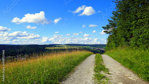romantischer Wanderweg im Schwarzwald mit weiter Aussicht unter blauem Himmel mit weißen Wolken