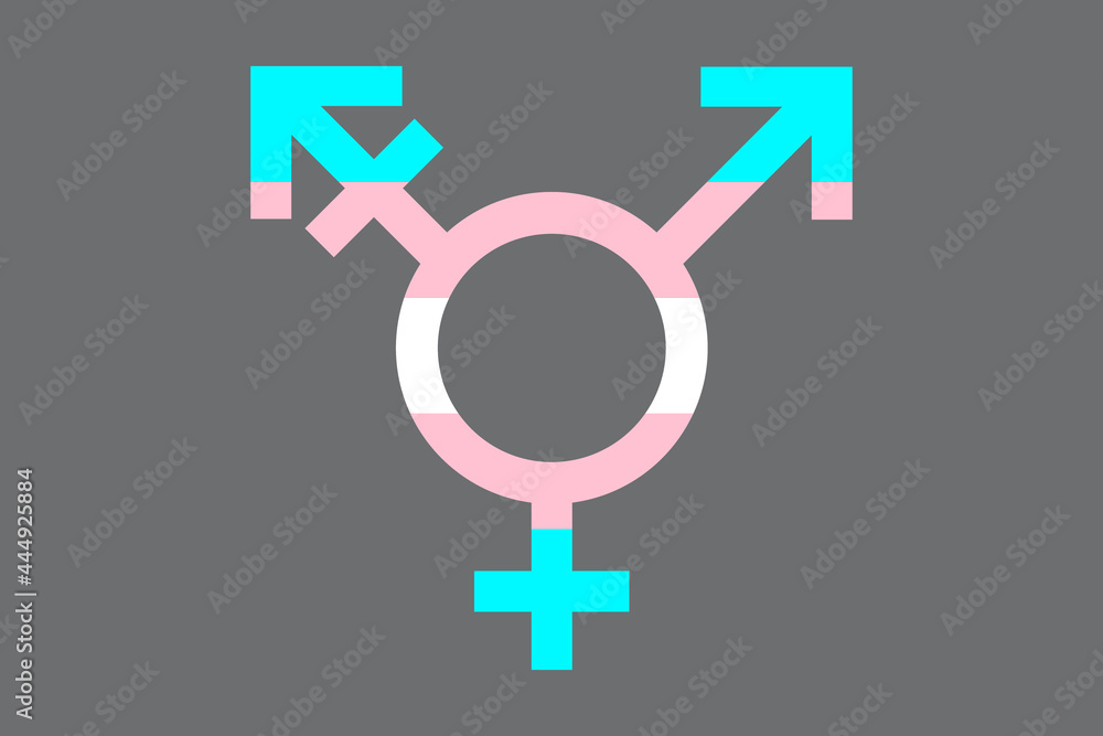 Transgender icon symbol with transgender flag inside. Vector illustration Transgender icon symbol with transgender flag inside. Vector illustration