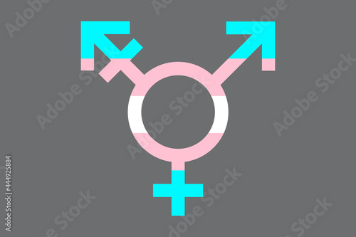 Transgender icon symbol with transgender flag inside. Vector illustration
