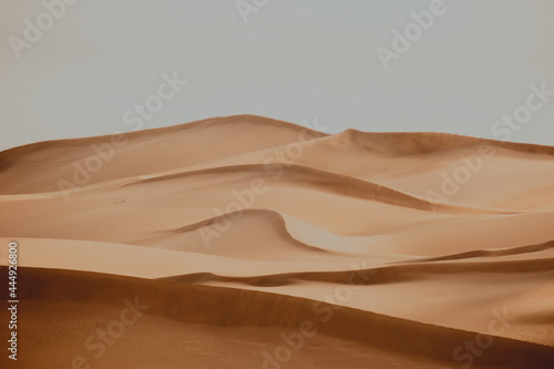 sand dunes in the desert