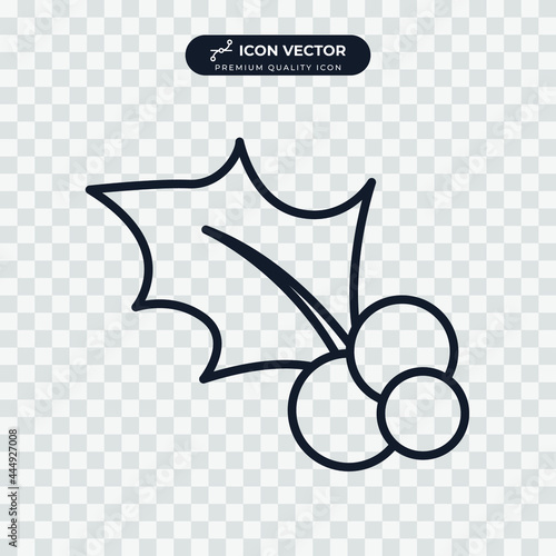 holly berry icon symbol template for graphic and web design collection logo vector illustration
