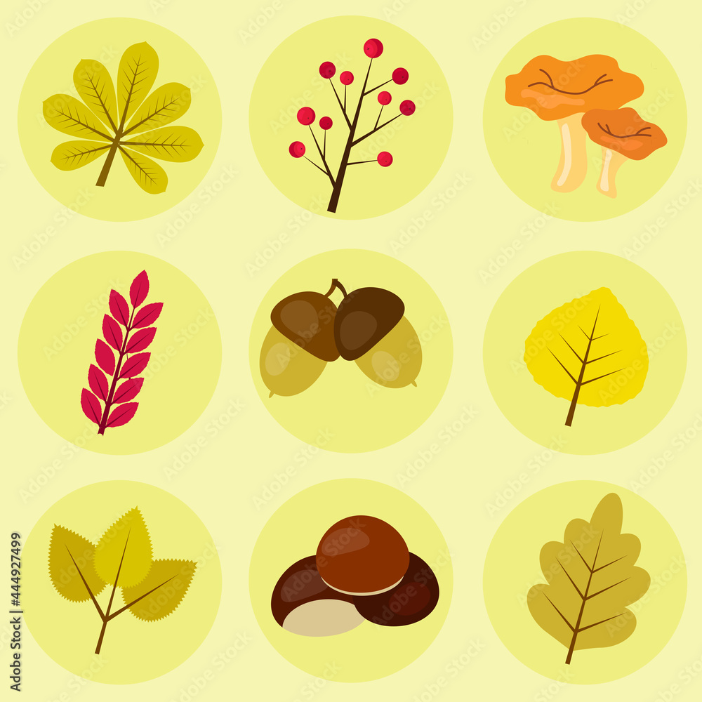 Autumn icons set flat or cartoon style. Design elements with leaves, mushrooms and berries.