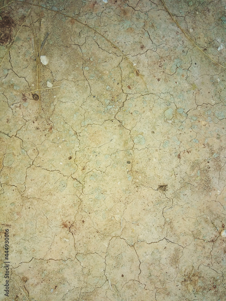 Dry earth with cracks. Piece of cracked soil. Texture of dry earth.
