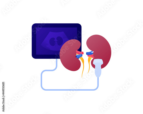 Medical ultrasound procedure concept. Vector flat healthcare color icon illustration. Nephrolory specialization. Kidney and ultrasonography device symbol. Design for health care.