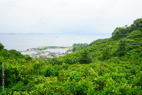 Fototapeta Naklejka Na Ścianę i Meble -  City landscape of Tomari in Gogoshima island in Ehime, Japan - 興居島 泊町 海岸の景色