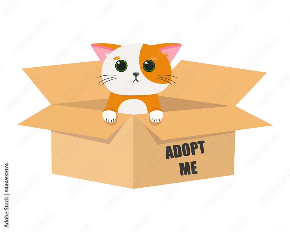 International Homeless Animals Day. Cute cartoon cat in a cardboard box with the words Adopt me. Vector illustration isolated on white background.