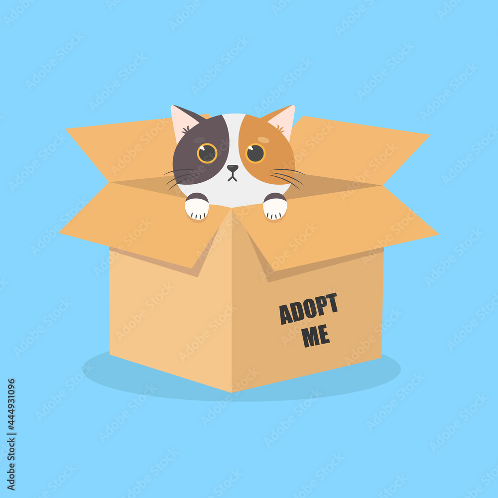 International Homeless Animals Day. Cute cartoon cat in a cardboard box with the words Adopt me. Vector illustration isolated on blue background.