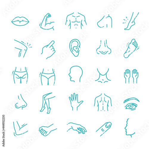 human body parts icons plastic face surgery, medical vector icons