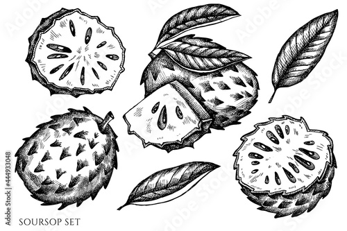 Slika na platnu Vector set of hand drawn black and white soursop
